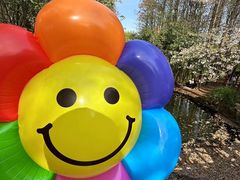 -上海共青森林公园