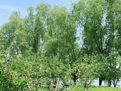 -昆山城市生态森林公园