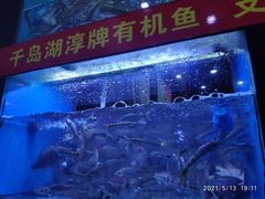 -全乐鱼馆·淳牌有机鱼直营店