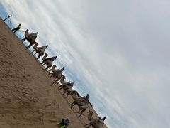-玉龙沙湖景区