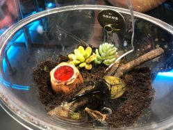 点击看大图 -七巧国萌宠乐园(龙湖天街店)