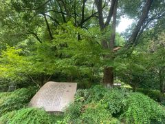 -杭州半山国家森林公园