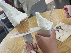 -野人先生Gelato(上海长宁龙之梦店)