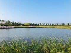 -春花秋色城市公园