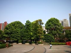 -重庆彩云湖湿地公园