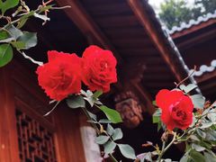 -乌山风景区
