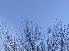 -肯德基(建华店)