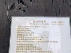 -新镇江酒家(南京西路店)
