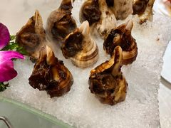 -富黎华海鲜大酒楼(正大广场店)
