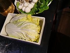 -九鼎轩脆毛肚火锅(南京东路店)