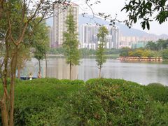 -飞来湖湿地公园