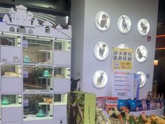 -小猫来了·猫舍(红山六九七九店)