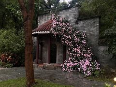 -深圳国际园林花卉博览园