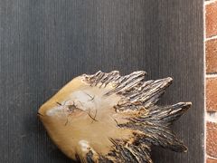 -永安鱼庄·镇江菜(东吴路店)