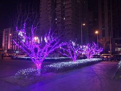 -远洋未来广场(育慧北路店)