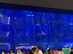 -成都浩海立方海洋公园