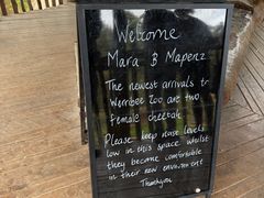 -威勒比开放式动物园