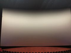 -悦江新远影城IMAX