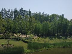 -上海长兴岛郊野公园