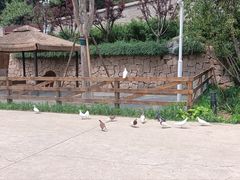 -静之湖度假区