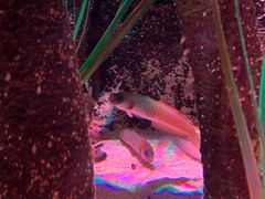 -沈阳海洋探索中心