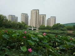 -新江湾城公园