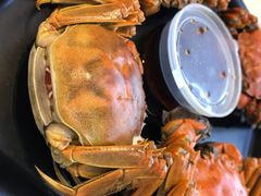 -松哥油焖大虾(皇岗一店)