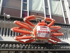 -大国药妆(NEW心斎橋店)