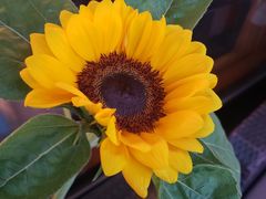 -COMMUNE幻师(五角场店)