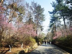 -大蜀山国家森林公园
