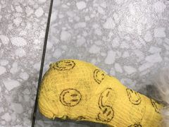-瑞派名望志远动物医院·猫科·內科·异宠专科(直港大道店)