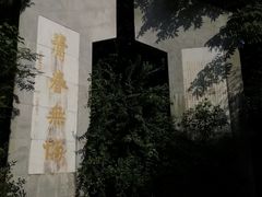 -东平国家森林公园