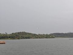 -美的鹭湖森林度假区