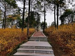 -美兰湖景区