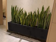 -荷花亭·湖北融合菜(中商广场店)