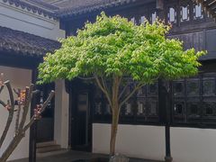 -绮园景区