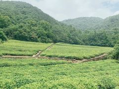 -东钱湖旅游度假区