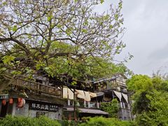 -梓木山庄