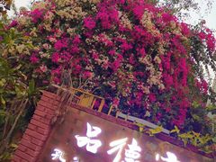 -品德宏·孔雀宴的发源地(金塔园店)