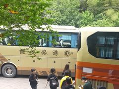 -老胡开文墨厂