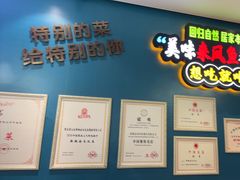-新概念来凤鱼(璧山店)