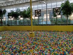 -南宫五洲植物乐园