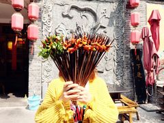 -镇江龙·火锅串串(武侯祠店)