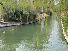 -皇家御河游(紫御湾码头)