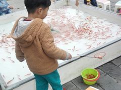 -白塘生态植物园