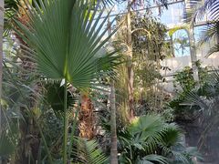 -国家植物园南园