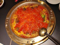 -蜀九香火锅(彩虹店)