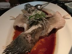 清蒸鲥鱼-夜上海(新天地店)