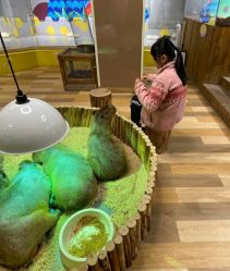 点击看大图 -七巧国萌宠乐园(龙湖天街店)