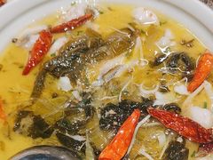 -巴蜀风·地道川菜(总店)